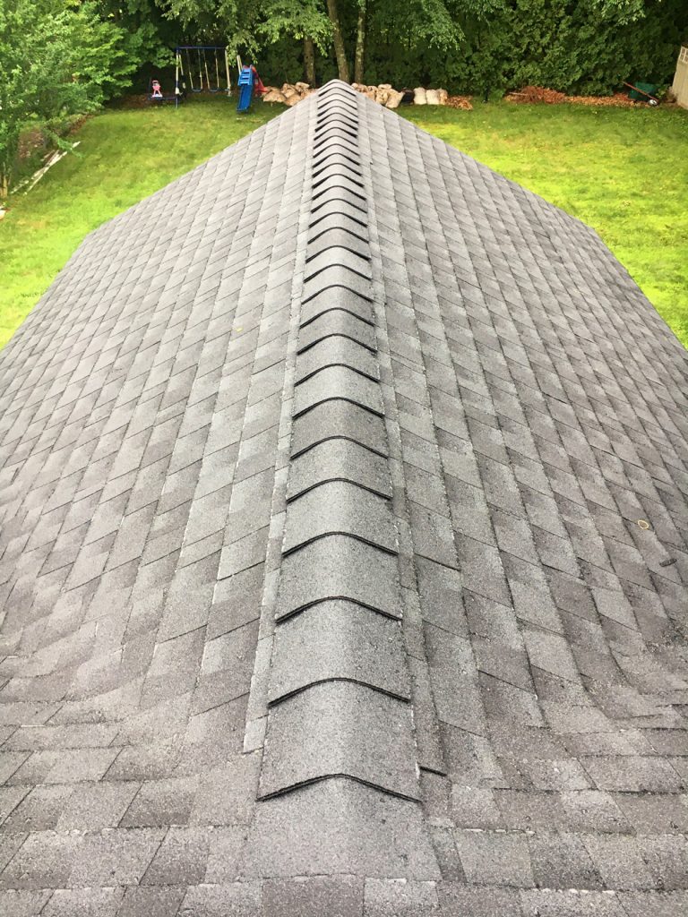 Finished ridge cap over the sun room