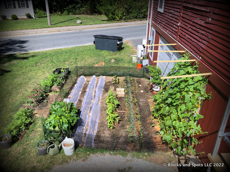 Large vegetable garden watered from a Rainwater Harvesting System